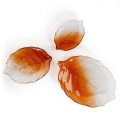 patery Sava.jpg