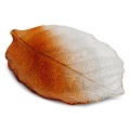 401523 patera Sava.jpg