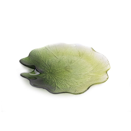 404819 patera Nila.jpg
