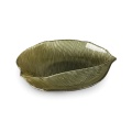 404926 patera Erika.jpg