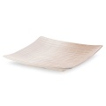 404519 patera Edna2.jpg