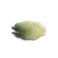 404820 patera Nila.jpg