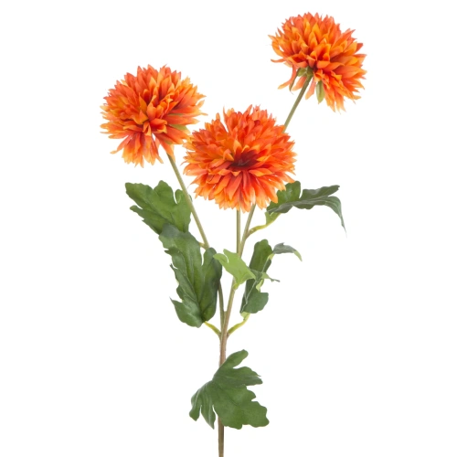 459256 květina 431OR.webp