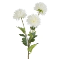 459957 květina NATURA431WH.webp