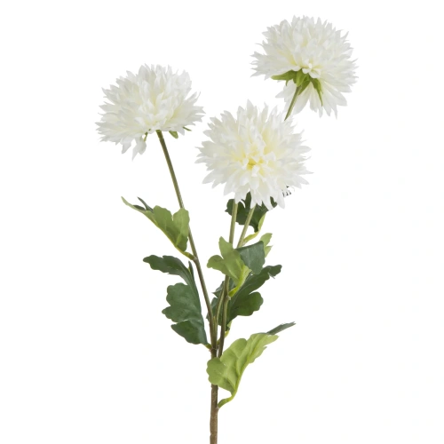459957 květina NATURA431WH.webp