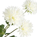459957 květina NATURA431WH detail.webp