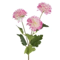 459958 květina NATURA431AM.webp