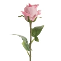 460006 květina Natura 440 R.webp