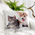 46411 povlak na polštář Animal70  pohled.webp