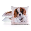 46413 povlak na polštář Animal72 pohled.webp
