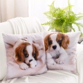 46413 povlak na polštář Animal72 náhled.webp