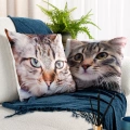 464108 povlak na polštář Animal68 náhled.webp