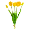 467073 kytička Natura 474 Y.webp