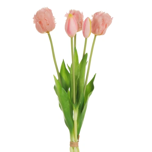 470756 květ Natura 474P.webp