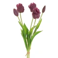 470758 květ Natura 474 V.webp