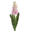 466144 květ Natura 469 P.webp
