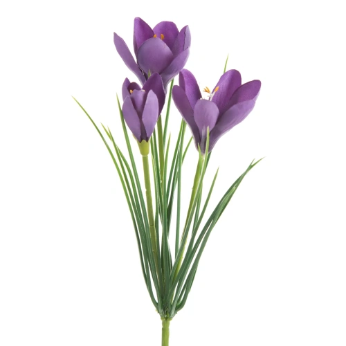 466147 NATU468 V krokus.webp