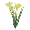 466148 květ krokusu světle žltuý Natu468 y.webp