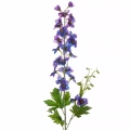432850 umělý květ NATU382 B.webp