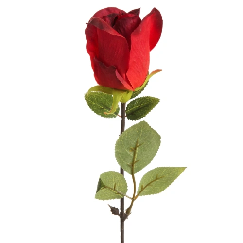 459950 květ růže Natu430R barva červená.webp