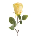 459954 květ růže Natu430Y barva žlutá.webp