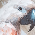 486415 obraz Bird 709A detail.jpg