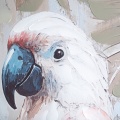 486417 obraz Bird 709B  detail.jpg