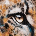 461824 obraz Gepard 656B detail.webp