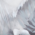 486424 obraz Bird 710B detail.jpg