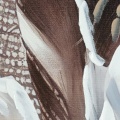 494246 obraz Woman 744B detail.jpg