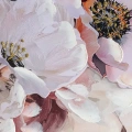 494227 obraz Woman 738 detail.webp